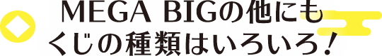 MEGA BIG̑ɂ̎ނ͂낢I